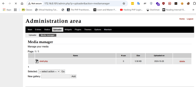 Executing Reverse Shell